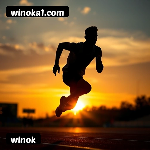 Comparação APP mobile vs versão web da winok