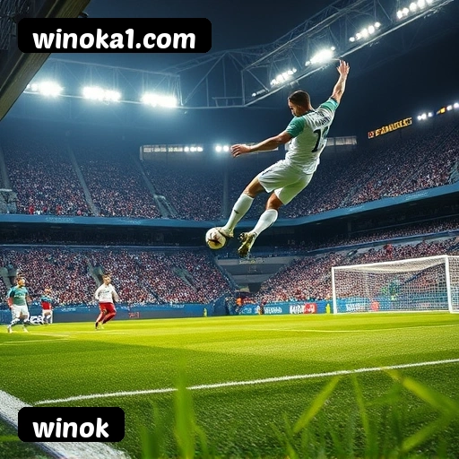 FAQ winok Brasil - Perguntas frequentes sobre bônus, PIX, RTP, APP mobile e VIP