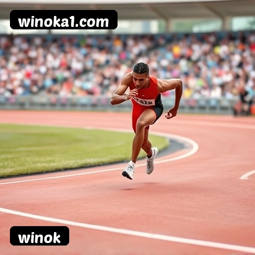 Grandes vencedores winok de São Paulo, Rio de Janeiro, Belo Horizonte - Saques PIX confirmados