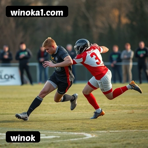 Jogo responsável winok - Ferramentas de controle, limites, auto-exclusão, suporte CVV 188