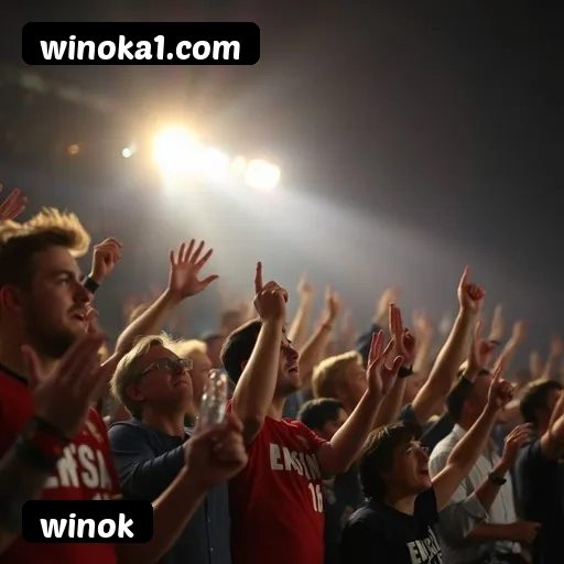 Estatísticas winok novembro 2024 - 87 mil jogadores ativos, R$47M pagos, RTP 96.52%