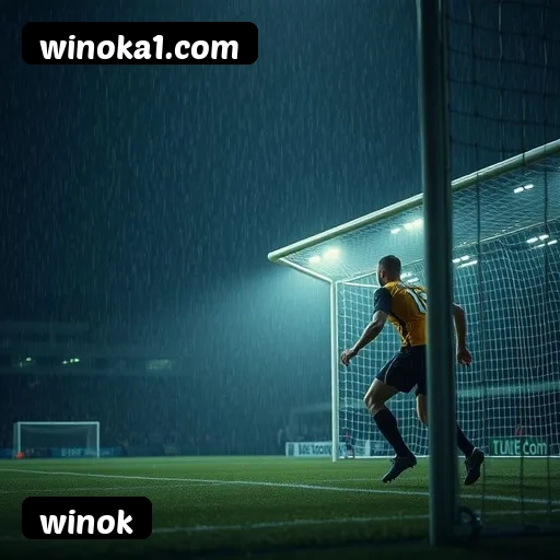 winok suporte 24/7 português Brasil - 47 atendentes brasileiros chat ao vivo