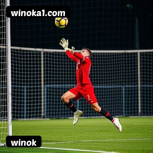 Níveis do programa VIP da winok